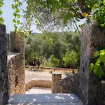 Odyssey *